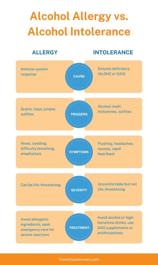 Alcohol Allergy vs. Alcohol Intolerance infographic. The image presents a comparison between alcohol allergy and alcohol intolerance using a structured format with categories: Cause, Triggers, Symptoms, Severity, and Treatment. Under 'Allergy,' causes include an immune system response, and triggers involve grains, hops, juniper, and sulfites. Symptoms include hives, swelling, difficulty breathing, and anaphylaxis. Alcohol allergies can be life-threatening, requiring avoidance of allergens and emergency care for severe reactions. Under 'Intolerance,' causes include enzyme deficiencies like ALDH2 or DAO, and triggers include alcohol itself, histamines, and sulfites. Symptoms include flushing, headaches, nausea, and rapid heartbeat. Alcohol intolerance is uncomfortable but not life-threatening. Treatment involves avoiding alcohol or high-histamine drinks and using DAO supplements or antihistamines. The infographic is branded with 'tresvistasrecovery.com' at the bottom.