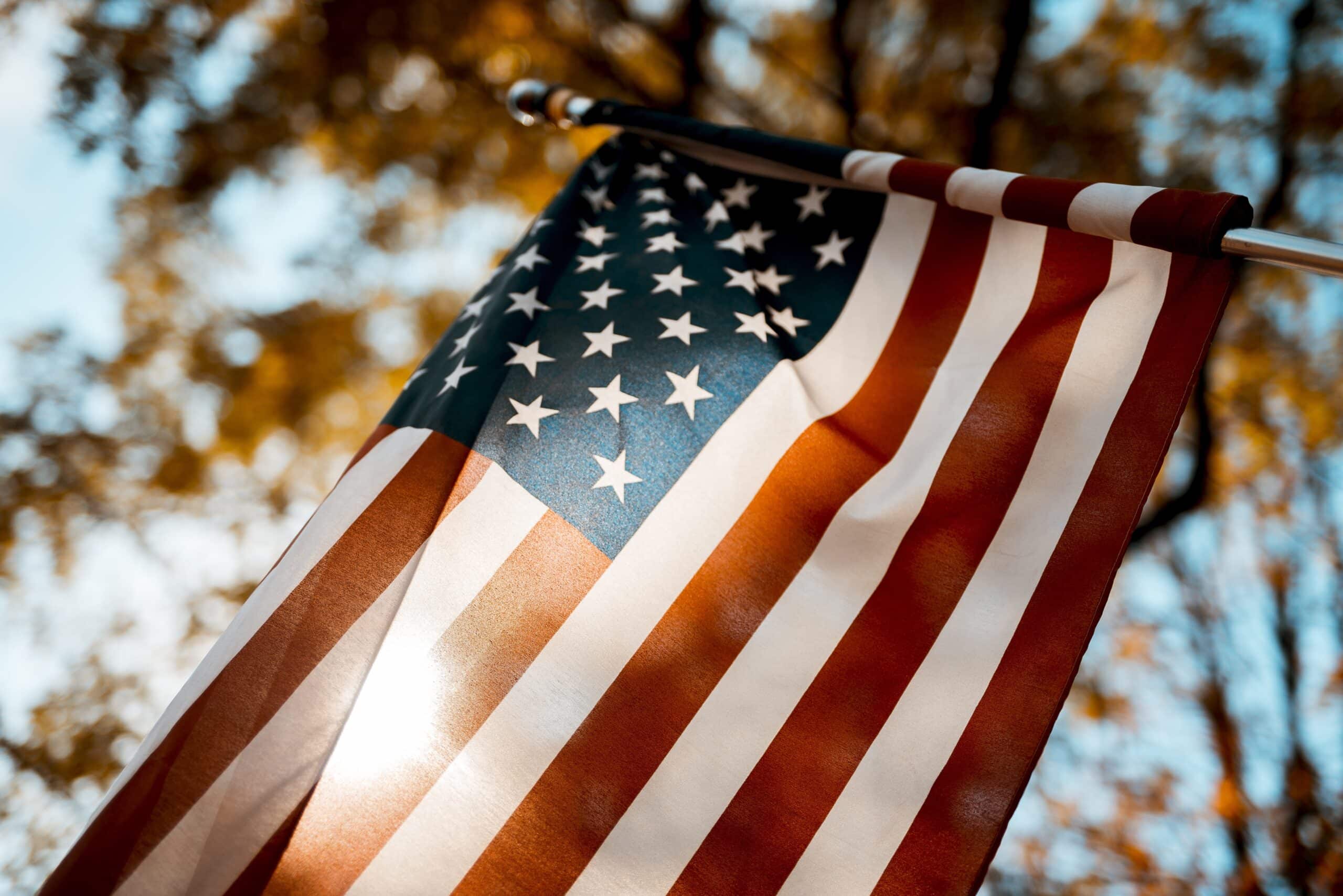 Flag of the United States with a blurred background and tree